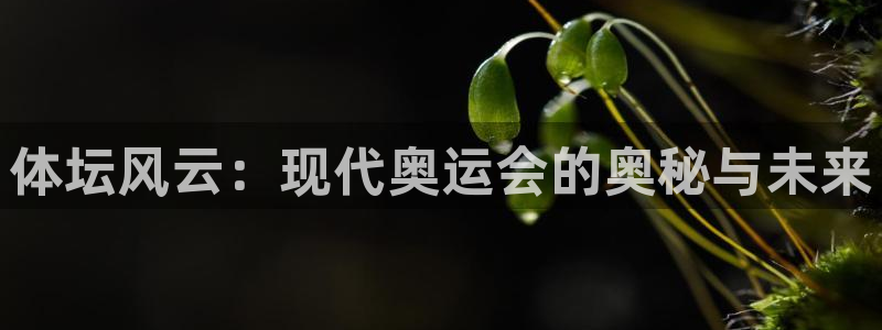 风速体育nba直播