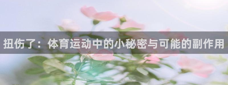 风速体育