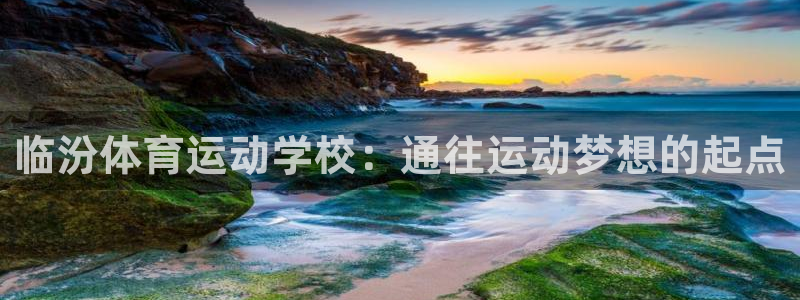 风速体育nba免费直播：临汾体育运动学校：通往运动梦想的起点