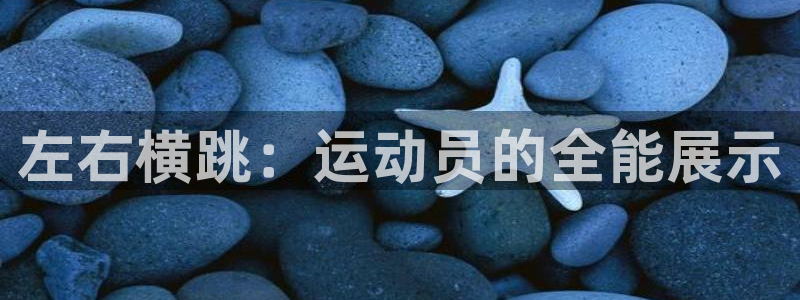 风速体育nba免费直播：左右横跳：运动员的全能展示