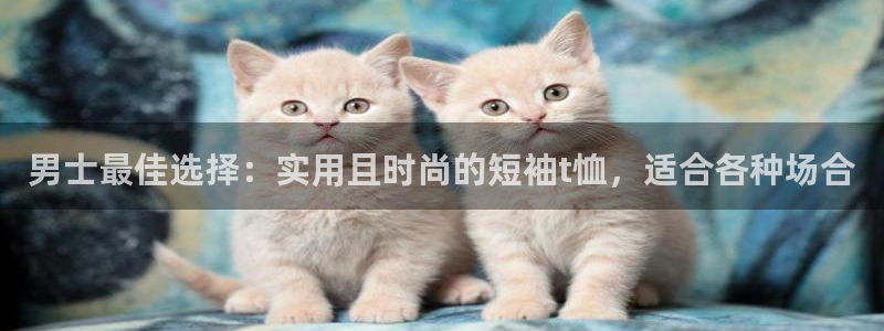 风速体育app官方下载：男士最佳选择：实用且时尚的短袖t恤，适合各种场合