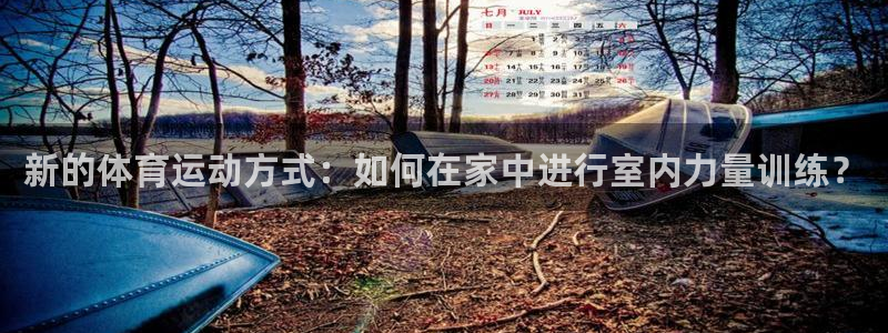 风速体育app下载官网最新版：新的体育运动方式：如何在家中进行室内力量训练？