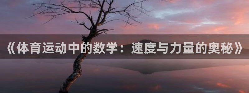 风速体育直播app：《体育运动中的数学：速度与力量的奥秘》