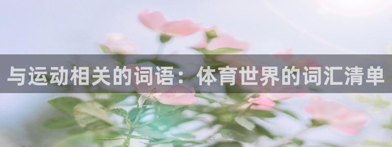 风速体育app下载安装最新版本：与运动相关的词语：体育世界的词汇清单