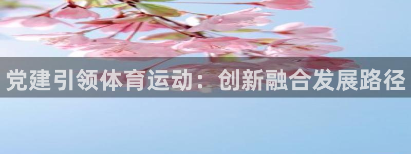风速体育app：党建引领体育运动：创新融合发展路径