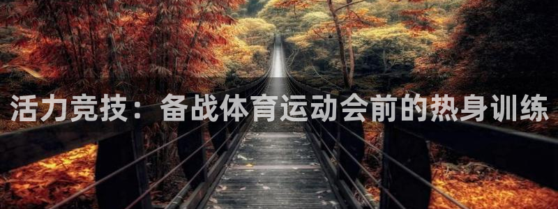风速体育cba直播：活力竞技：备战体育运动会前的热身训练