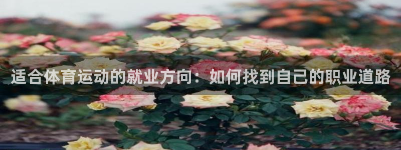 风速体育直播app：适合体育运动的就业方向：如何找到自己的职业道路