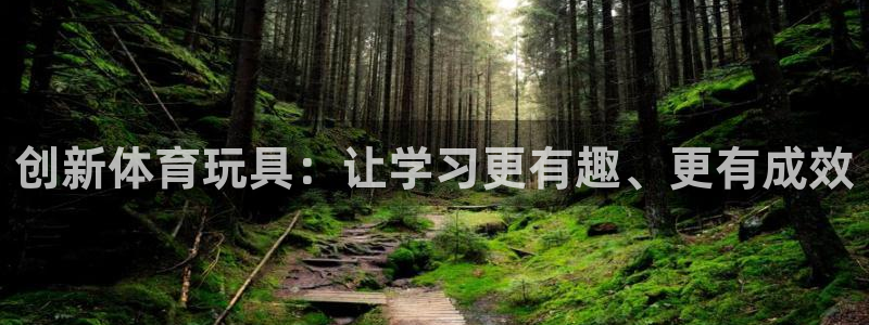 风速体育下载：创新体育玩具：让学习更有趣、更有成效