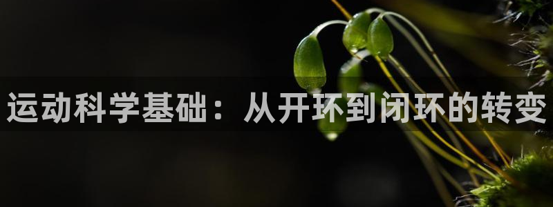 风速体育app官方下载：运动科学基础：从开环到闭环的转变
