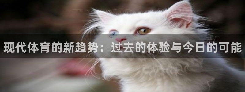 风速体育直播app：现代体育的新趋势：过去的体验与今日的可能