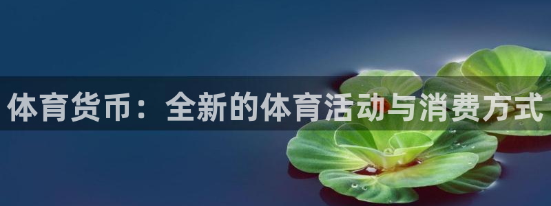 风速体育直播：体育货币：全新的体育活动与消费方式